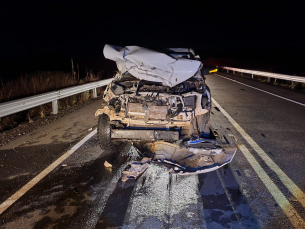 Notícia - Motorista de camionete atropela boi em rodovia da serra catarinense