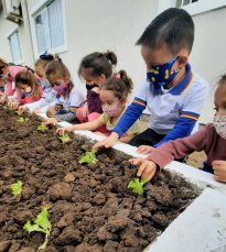 Notícia - Secretaria de Educação de Balneário Rincão lança projeto “Uma horta em cada canto”