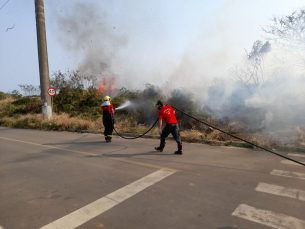 Notícia - Incêndio de grandes proporções em vegetação é combatido pelos Bombeiros