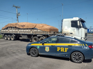 Notícia - Carreta é flagrada com nove toneladas de excesso de peso na BR-101