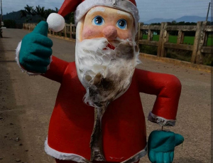 Notícia - Devido ao vandalismo, decoração de Natal é retirada