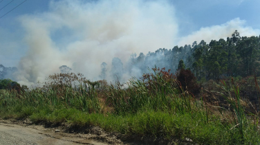 Notícia - Incêndio em turfa volta a atingir Araranguá e fumaça chega em Criciúma (VÍDEO)