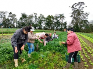 Notícia - Prefeitura de Cocal do Sul abre chamada pública para merenda escolar