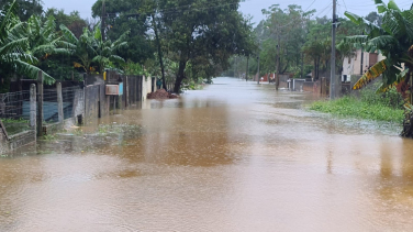 Notícia - De hepatite a leptospirose: os riscos à saúde deixados pela chuva