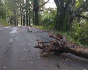 Notícia - Estradas revelam os estragos deixados pela chuva no Sul de SC (FOTOS e VÍDEOS)