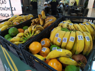 Notícia - Espaço Naturae oferece frutas de graça durante a semana do nutricionista (FOTOS E VÍDEO)