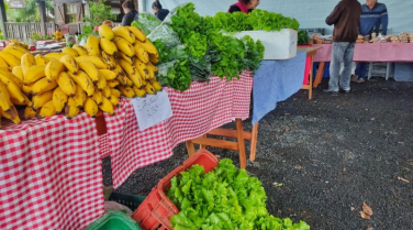 Notícia - Nova Veneza: Feira da Agricultura Familiar é realizada nesta sexta-feira