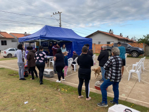 Notícia - Içara: BusCão castra 28 animais no bairro Esplanada