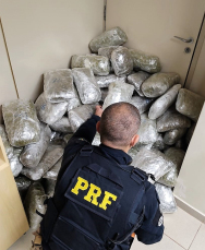 Notícia - PRF encontra “supermaconha” em fundo falso de caminhão na BR-101 