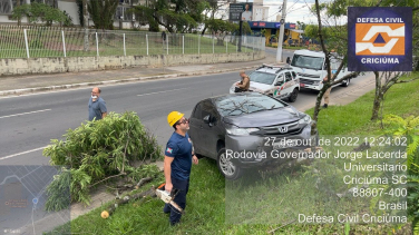 Notícia - Após derrapar em poça de óleo, carro colide em árvore no Pinheirinho (FOTOS E VÍDEO)