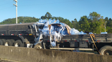 Notícia - Motorista morre em colisão entre caminhões durante bloqueio na BR-101 