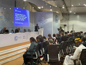 Notícia - Representantes de SC participam de discussões sobre mudanças climáticas na COP27