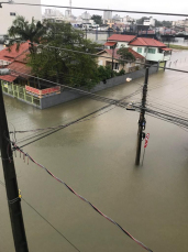 Notícia - Chuva persistente gera alagamentos em Tubarão (FOTOS e VÍDEO)