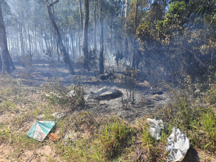 Notícia - Passo de Torres registra dois incêndios em vegetação