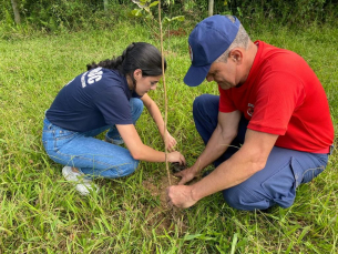 Notícia - Bombeiros Militares plantam 131 mudas de árvores como compensação ambiental no Extremo Sul