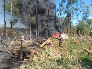 Notícia - Bombeiros controlam incêndio em vegetação em Araranguá (FOTOS E VÍDEO)