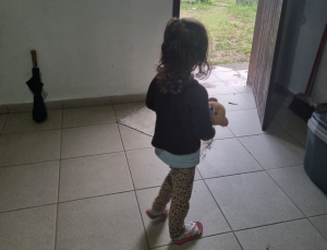 Notícia - Criciúma: criança de 3 anos é resgatada em situação de abandono 