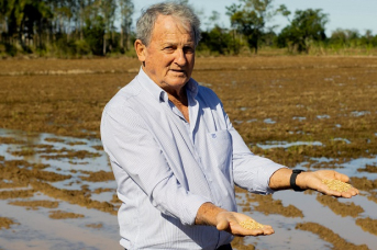 Notícia - Vocação que vem da terra: na paixão pelo cultivo, o cuidado com o arroz 