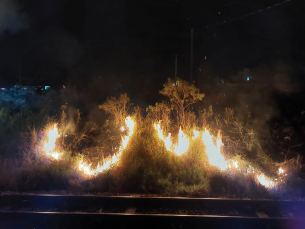 Notícia - Fogo atinge vegetação em Morro da Fumaça