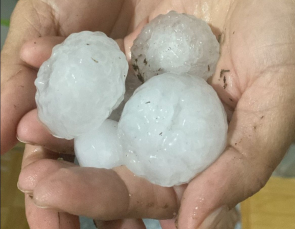 Notícia - Chuva de “bolas” de granizo causa prejuízos na região Sul de SC (FOTOS e VÍDEOS)