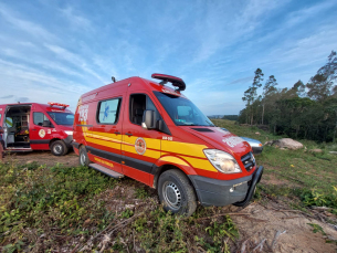 Notícia - Homens ficam feridos após acidente durante corte de árvore em Treze de Maio