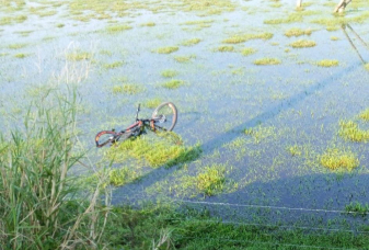 Notícia - Ciclista morre em acidente ao ser atingido por veículo na SC-449