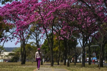 Notícia - Primavera terá chuvas e temperaturas acima da média no Sul de SC