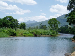 Notícia - Mulher é resgatada após ficar presa em árvore contra correnteza do Rio Mampituba