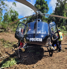 Notícia - Trabalhador fica gravemente ferido após árvore cair em cima dele