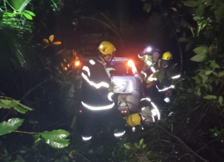 Notícia - Motorista desce barranco após saída de pista em Nova Veneza