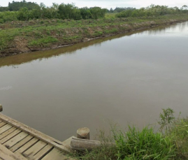 Notícia - Bombeiros encontram corpo de pescador em rio de Içara 