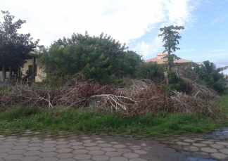 Notícia - Proprietários de terrenos baldios são notificados em Balneário Rincão