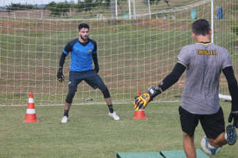 Notícia - Tigre realiza atividade na academia e no gramado do CT