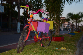 Notícia - Da primavera para o segundo Natal dos voluntários do Rincão