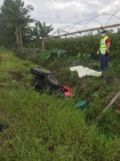 Notícia - Idoso morre em acidente com trator