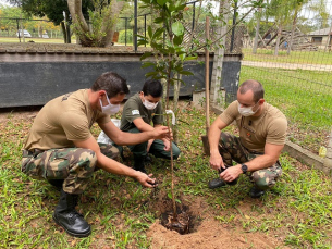 Notícia - PM Ambiental comemora aniversário com ação solidária e ecológica