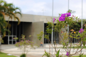 Notícia - Abertas as inscrições para o concurso: Criciúma, paisagens pela minha janela