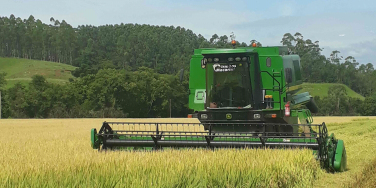 Notícia - Tem Coop: distribuição bilionária de sobras em Santa Catarina