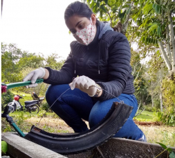 Notícia - Fim da estiagem, sinal de alerta para combate ao mosquito da dengue