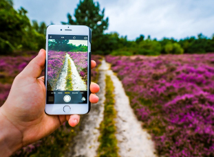 Notícia - Dicas para maximizar o desempenho da câmera do seu iPhone