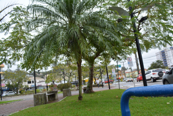 Notícia - Em Morro da Fumaça, acolhimento e agasalhos para quem necessita devido à chegada do frio intenso