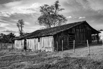 Notícia - Museu do Imigrante recebe exposição fotográfica