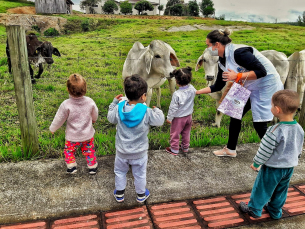 Notícia - Creche de Nova Veneza promove resgate histórico sobre meio ambiente