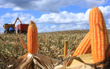 Notícia - Inscrições abertas para curso de agronegócio para produtores ou filhos de produtores