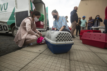 Notícia - Fundave e Felinos do Aguaí realizam última etapa da campanha de castração