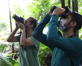 Notícia - Apaixonados pela natureza em busca da ave perfeita