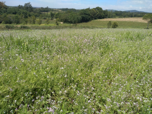 Notícia - Kit Solo Saudável é oferecido aos agricultores de Morro da Fumaça