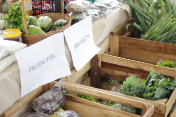 Notícia - Feira da Agricultura Familiar é adiada devido à previsão de chuva