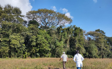 Notícia - Mais um macaco encontrado morto em município da Amrec