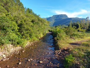 Notícia - Projeto Restaura Veneza visa preservar recursos florestais e hídricos